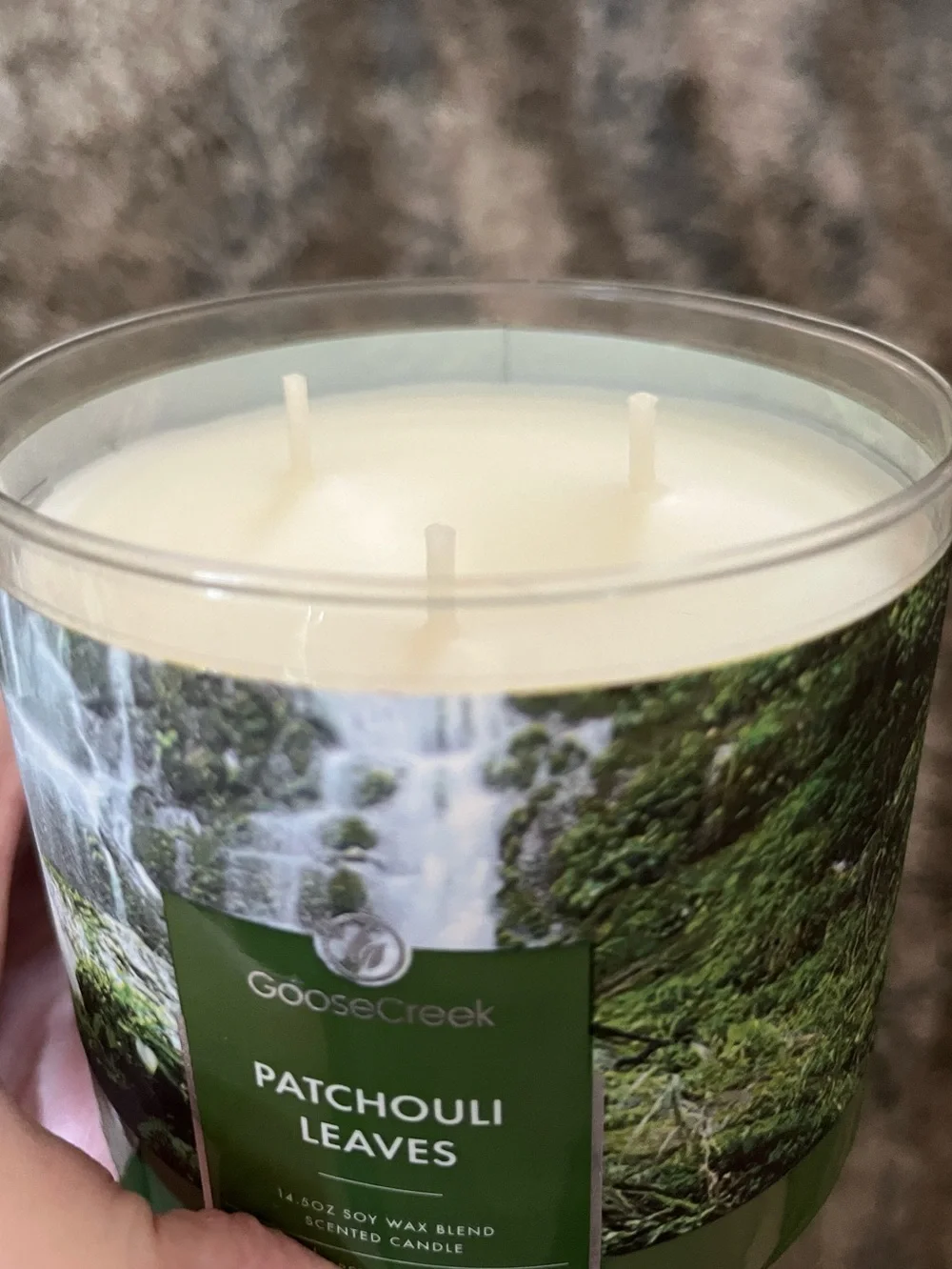 Patchouli Leaves Scented Candle Goose Creek